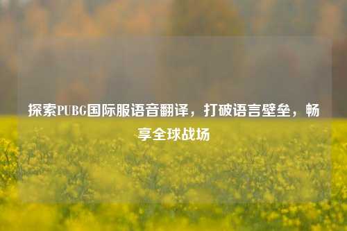 探索PUBG国际服语音翻译,打破语言壁垒,畅享全球战场