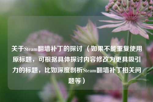 关于Steam翻墙补丁的探讨 （如果不能重复使用原标题，可根据具体探讨内容修改为更具吸引力的标题，比如深度剖析Steam翻墙补丁相关问题等）