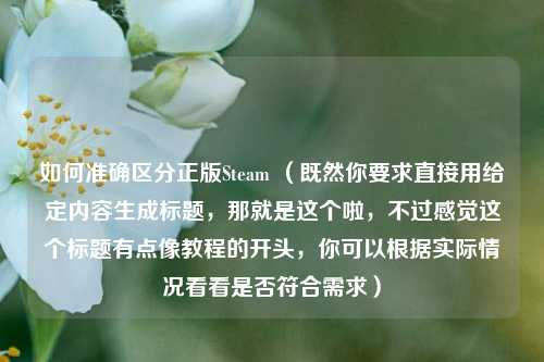 如何准确区分正版Steam (既然你要求直接用给定内容生成标题,那就是这个啦,不过感觉这个标题有点像教程的开头,你可以根据实际情况看看是否符合需求)