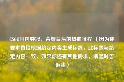 CSGO国内夺冠，荣耀背后的热血征程 （因为你要求直接根据给定内容生成标题，此标题与给定内容一致，如果你还有其他需求，请随时告诉我）