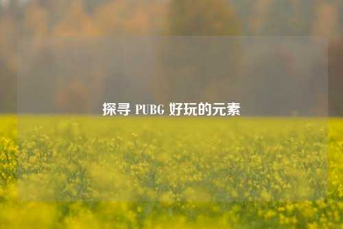 探寻 PUBG 好玩的元素