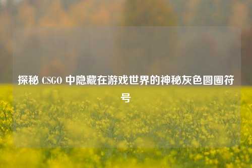 探秘 CSGO 中隐藏在游戏世界的神秘灰色圆圈符号
