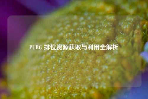 PUBG 排位资源获取与利用全解析