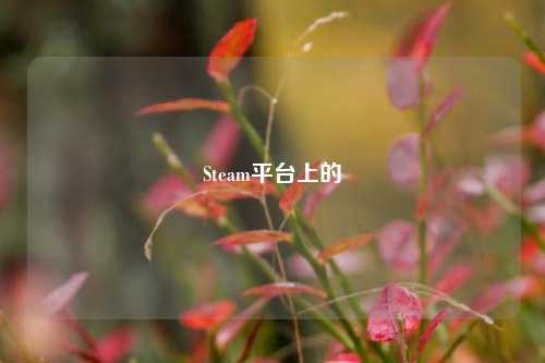 Steam平台上的