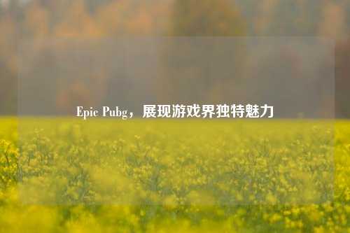 Epic Pubg，展现游戏界独特魅力