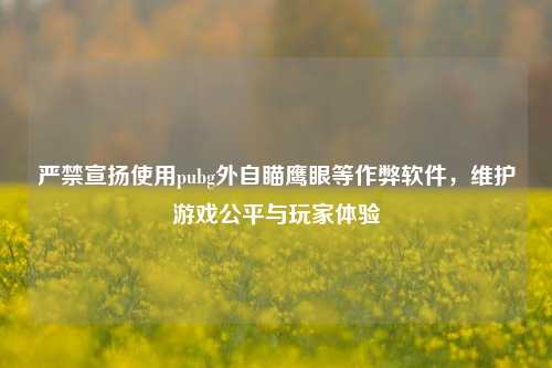 严禁宣扬使用pubg外自瞄鹰眼等作弊软件，维护游戏公平与玩家体验