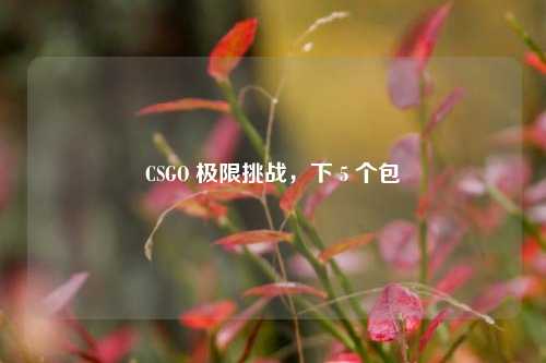 CSGO 极限挑战，下 5 个包