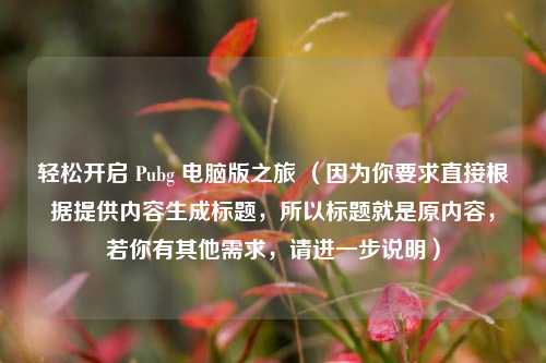 轻松开启 Pubg 电脑版之旅 （因为你要求直接根据提供内容生成标题，所以标题就是原内容，若你有其他需求，请进一步说明）