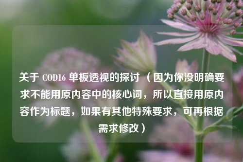 关于 COD16 单板透视的探讨 （因为你没明确要求不能用原内容中的核心词，所以直接用原内容作为标题，如果有其他特殊要求，可再根据需求修改）