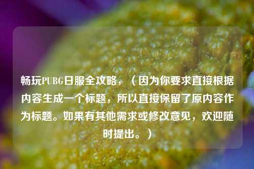 畅玩PUBG日服全攻略，（因为你要求直接根据内容生成一个标题，所以直接保留了原内容作为标题。如果有其他需求或修改意见，欢迎随时提出。）