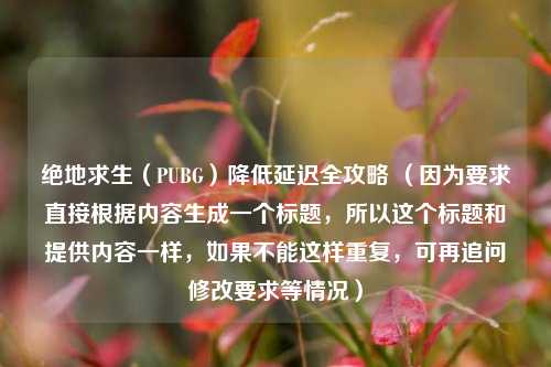 绝地求生（PUBG）降低延迟全攻略 （因为要求直接根据内容生成一个标题，所以这个标题和提供内容一样，如果不能这样重复，可再追问修改要求等情况）