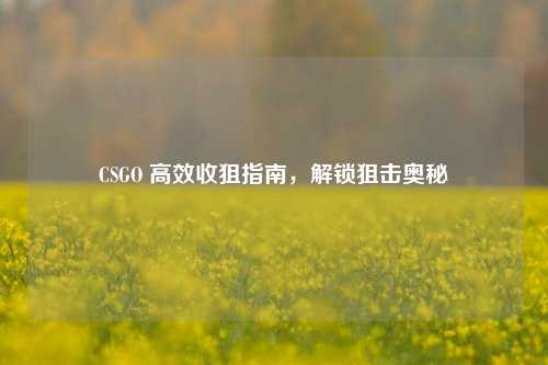 CSGO 高效收狙指南，解锁狙击奥秘