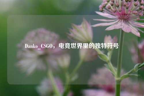 Danko_CSGO，电竞世界里的独特符号