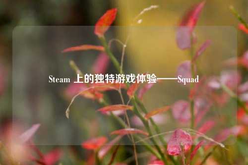 Steam 上的独特游戏体验——Squad