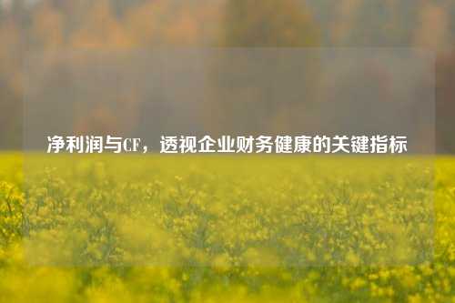 净利润与CF，透视企业财务健康的关键指标