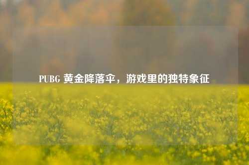 PUBG 黄金降落伞,游戏里的独特象征