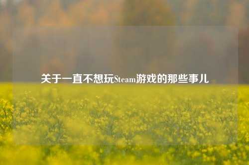 关于一直不想玩Steam游戏的那些事儿