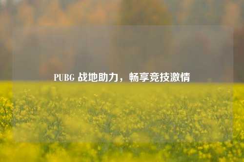 PUBG 战地助力，畅享竞技***