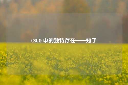 CSGO 中的独特存在——知了
