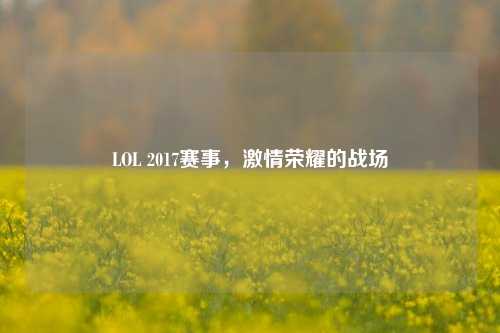 LOL 2017赛事，***荣耀的战场