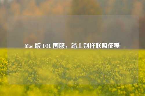Mac 版 LOL 国服，踏上别样联盟征程