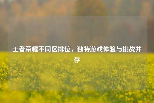 王者荣耀不同区排位，独特游戏体验与挑战并存