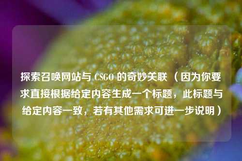 探索召唤网站与 CSGO 的奇妙关联 （因为你要求直接根据给定内容生成一个标题，此标题与给定内容一致，若有其他需求可进一步说明）