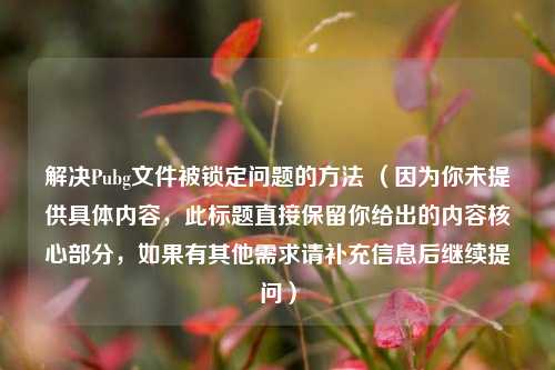 解决Pubg文件被锁定问题的 ***  （因为你未提供具体内容，此标题直接保留你给出的内容核心部分，如果有其他需求请补充信息后继续提问）