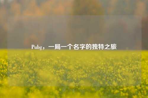Pubg，一局一个名字的独特之旅