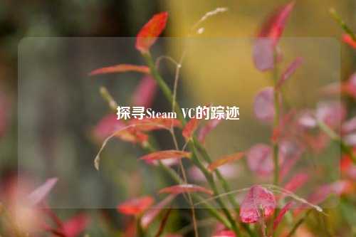 探寻Steam VC的踪迹