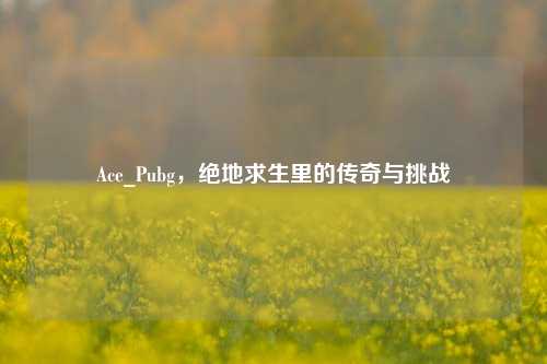 Ace_Pubg，绝地求生里的传奇与挑战