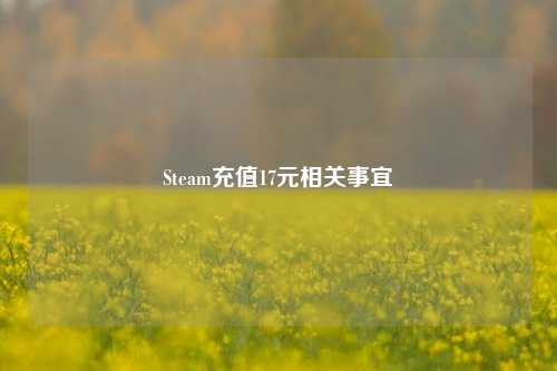 Steam充值17元相关事宜