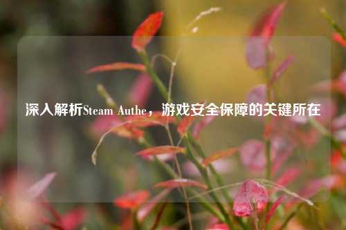 深入解析Steam Authe，游戏安全保障的关键所在
