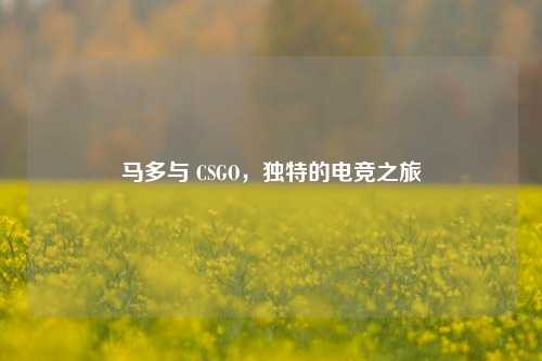 马多与 CSGO，独特的电竞之旅