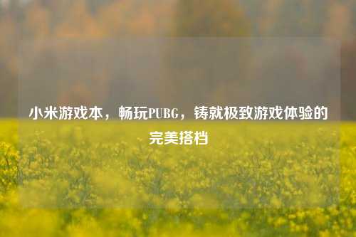 小米游戏本，畅玩PUBG，铸就极致游戏体验的完美搭档