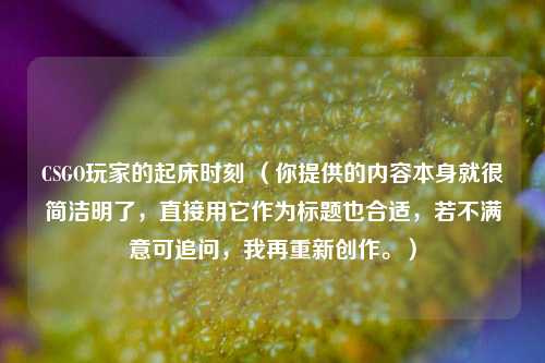 CSGO玩家的起床时刻 （你提供的内容本身就很简洁明了，直接用它作为标题也合适，若不满意可追问，我再重新创作。）