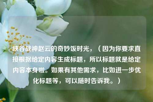 峡谷战神赵云的奇妙饭时光，（因为你要求直接根据给定内容生成标题，所以标题就是给定内容本身啦。如果有其他需求，比如进一步优化标题等，可以随时告诉我。）