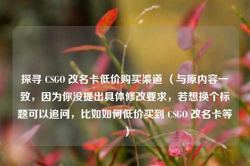 探寻 CSGO 改名卡低价购买渠道 （与原内容一致，因为你没提出具体修改要求，若想换个标题可以追问，比如如何低价买到 CSGO 改名卡等）