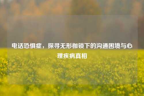  *** 恐惧症，探寻无形枷锁下的沟通困境与心理疾病真相