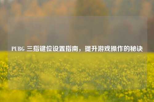 PUBG 三指键位设置指南，提升游戏操作的秘诀