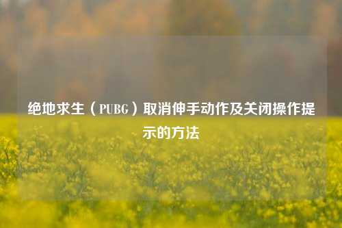 绝地求生（PUBG）取消伸手动作及关闭操作提示的 *** 