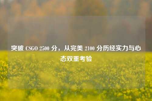 突破 CSGO 2500 分，从完美 2100 分历经实力与心态双重考验