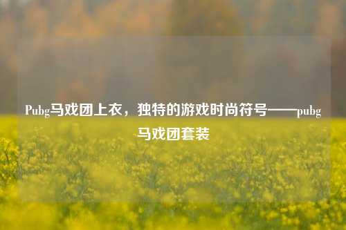 Pubg马戏团上衣，独特的游戏时尚符号——pubg马戏团套装