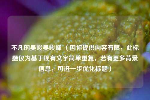 不凡的吴峻吴峻峰 （因你提供内容有限，此标题仅为基于现有文字简单重复，若有更多背景信息，可进一步优化标题）