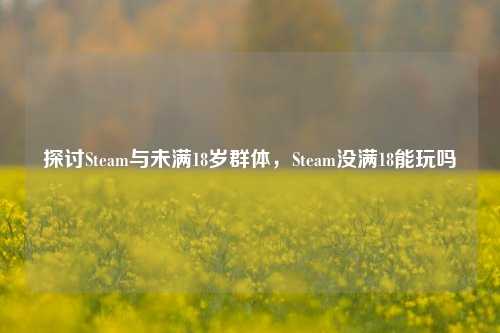 探讨Steam与未满18岁群体，Steam没满18能玩吗