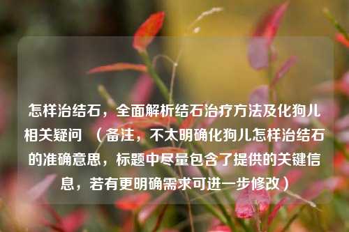 怎样治结石，全面解析结石治疗 *** 及化狗儿相关疑问  （备注，不太明确化狗儿怎样治结石的准确意思，标题中尽量包含了提供的关键信息，若有更明确需求可进一步修改）