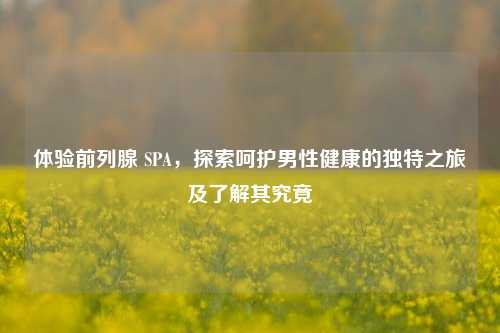 体验前列腺 SPA,探索呵护男性健康的独特之旅及了解其究竟
