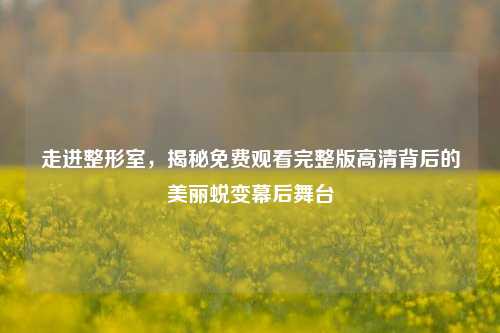 走进整形室，揭秘免费观看完整版高清背后的美丽蜕变幕后舞台