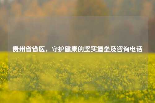 贵州省省医，守护健康的坚实堡垒及咨询 *** 