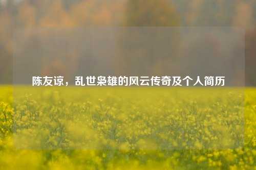 陈友谅，乱世枭雄的风云传奇及个人简历